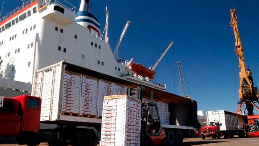 Las exportaciones de peras y manzanas aumentaron 30% y 22% respectivamente, durante el primer trimestre del año