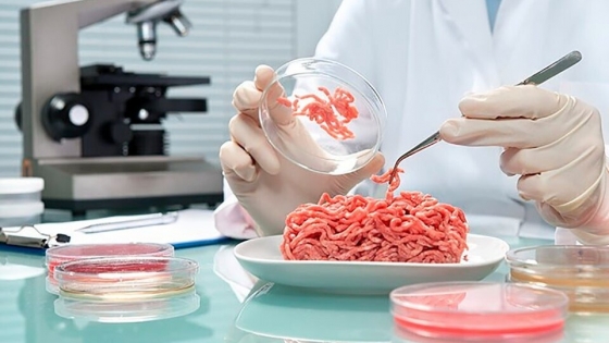 Del laboratorio a la mesa: ¿cómo avanza la producción de carne cultivada en el mundo?