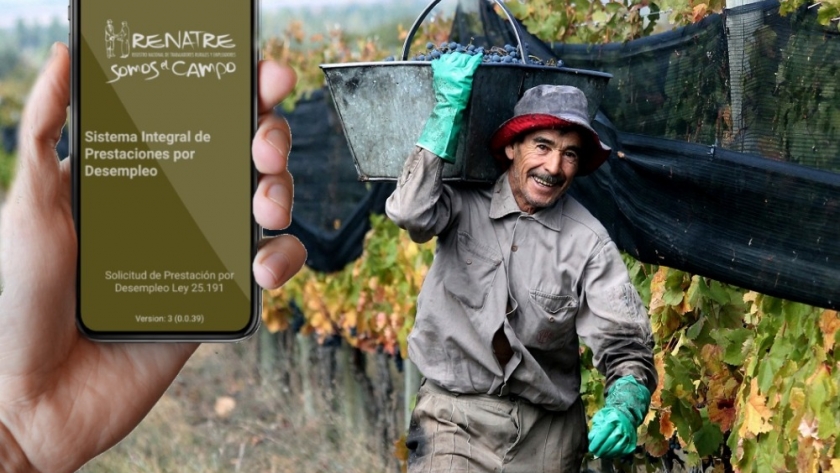 Trabajadores rurales : lanzan aplicación para celulares
