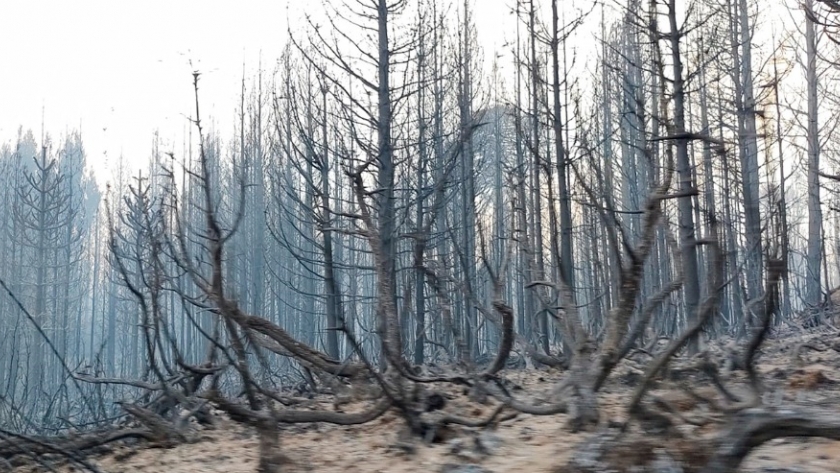Trabajan en la mitigación de daños por el incendio de Quillén