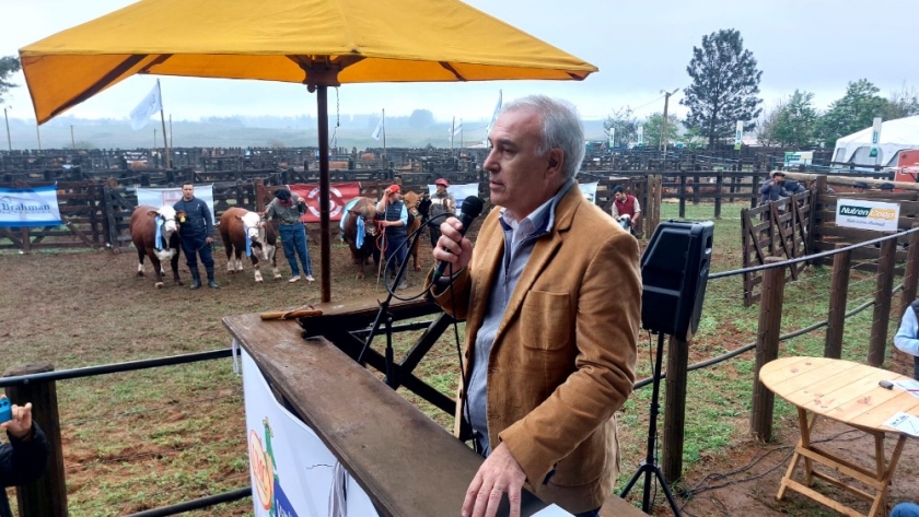 Corrientes, protagonista del sector forestal y ganadero en la 30º Exposición Rural de Virasoro