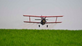 Con fertilización aérea el rinde de arroz aumentaría a unos 1000kg/ha
