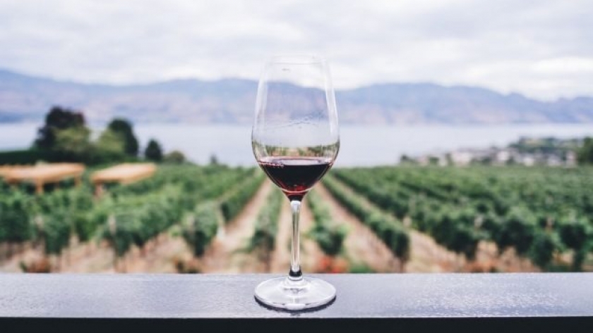 INV aprueba técnica para vinos sin alcohol, ofreciendo alternativas de consumo