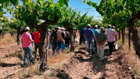 Capacitación para la producción de vid, olivos y frutales en Mendoza y San Juan
