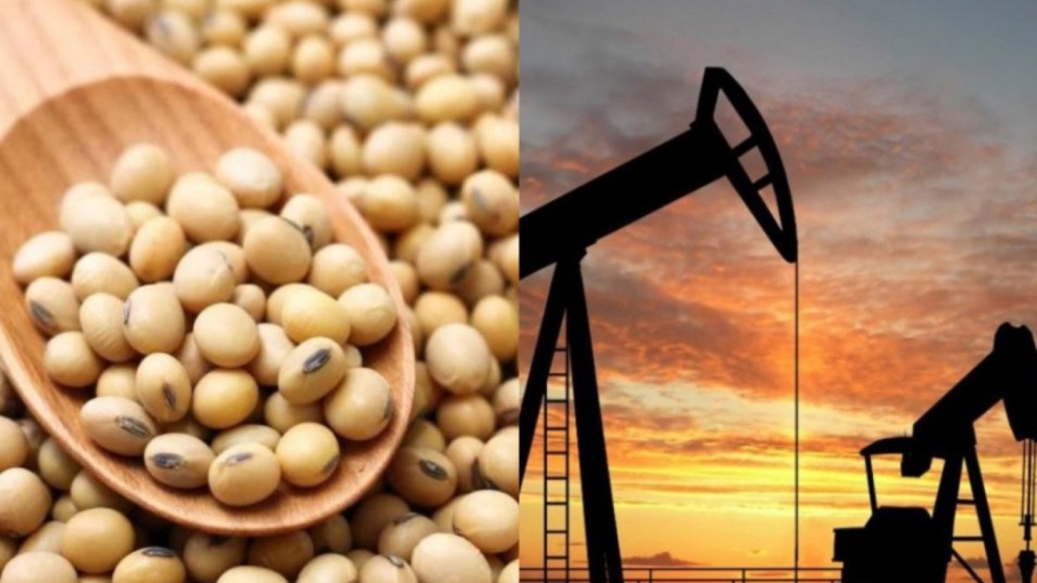 La guerra en Medio Oriente sacude al agro: suben petróleo, fertilizantes y granos