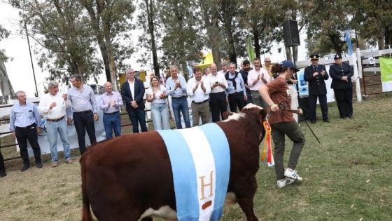 El Gobierno Provincial acompañó a la ganadería con $510 millones en 2024