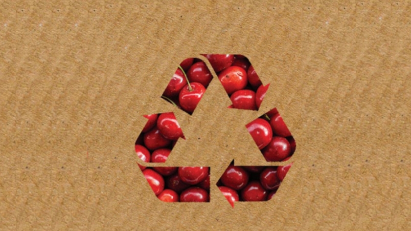 Cómo el packaging puede darle valor agregado a los productos agrícolas