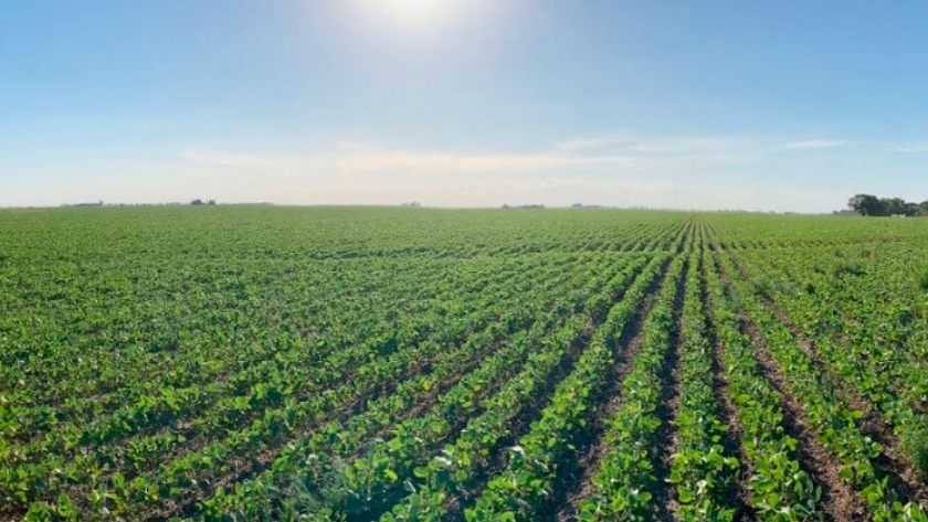 Aapresid y Bioceres Semillas financiarán y bonificarán a productores certificados en prácticas sustentables