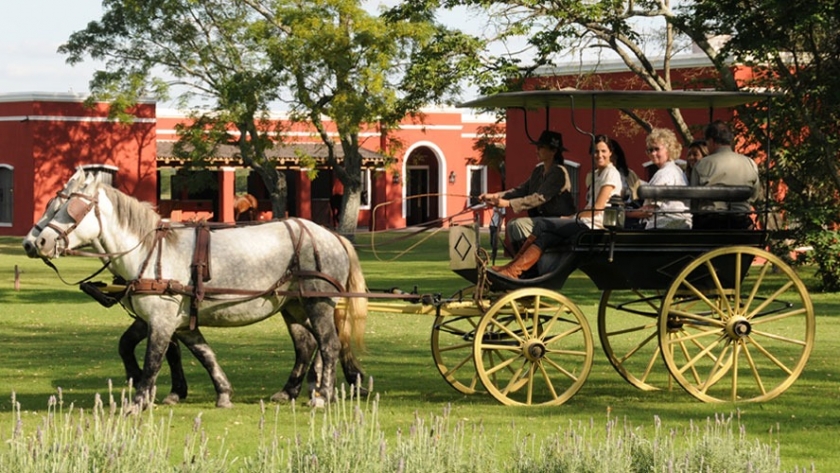 Desarrollo sostenible del turismo rural: claves para un éxito duradero