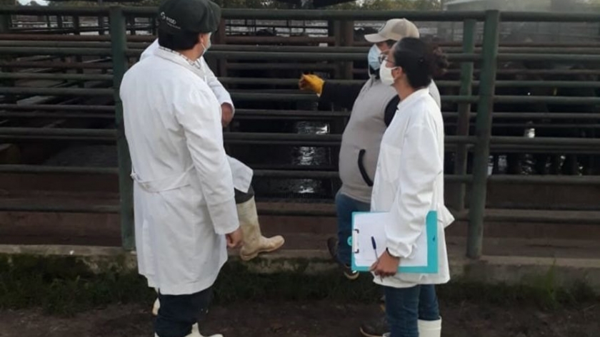 Capacitan a personal de establecimientos de faena en Salta