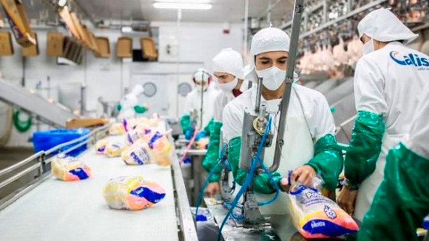 Las 40 principales integradoras argentinas vuelcan más pollo para el mercado interno