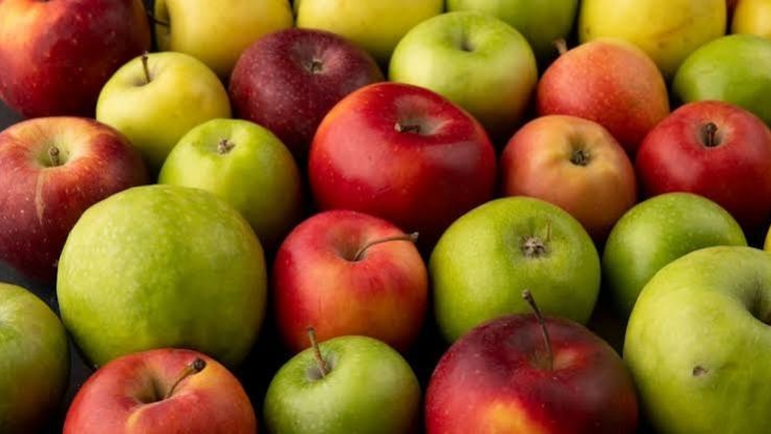 Nuevas variedades de manzanas: costos y riesgos del negocio