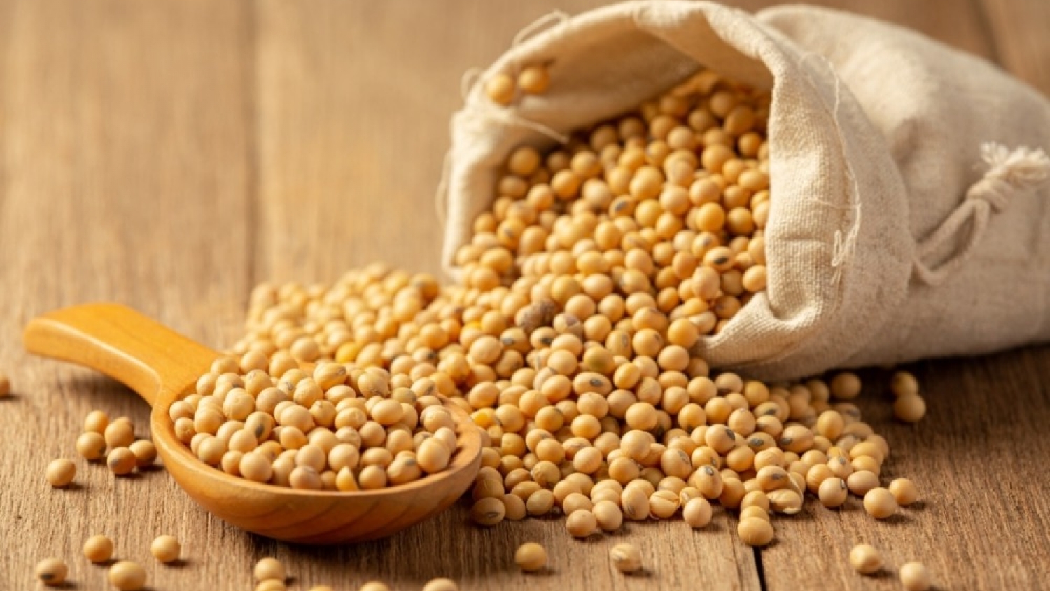 Soja 2026: por qué Argentina enfrenta el desafío de volver a exportar valor agregado