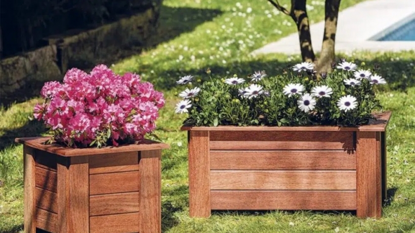 10 Ideas interesantes con combinaciones de plantas para maceteros de jardín