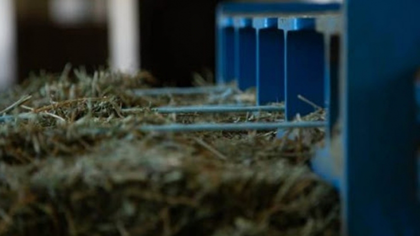 ALFAZAL: ampliación y mejoras de la planta