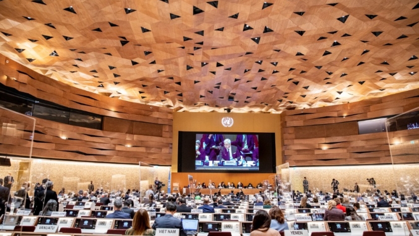 El Consejo de Derechos Humanos de la ONU, a cargo de la Argentina, designó a los miembros del órgano de investigación sobre Ucrania