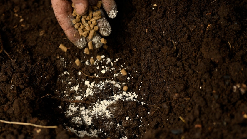 Los agricultores se enfrentan a una crisis de fósforo. La solución comienza con tierra