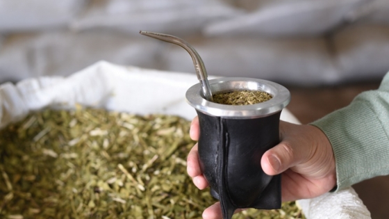 Misiones impulsa la proyección internacional de la yerba mate como emblema argentino