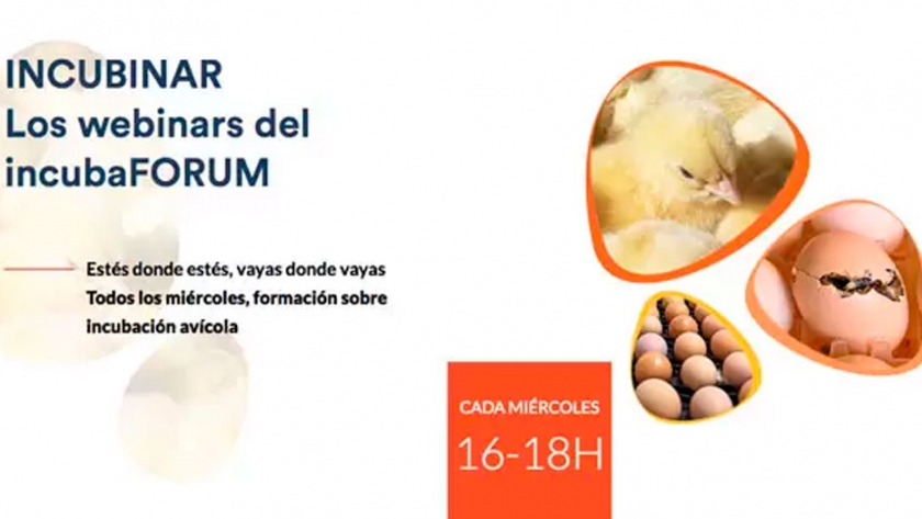 INCUBINAR, los Webinars del incubaFORUM ¿Te lo vas a perder?