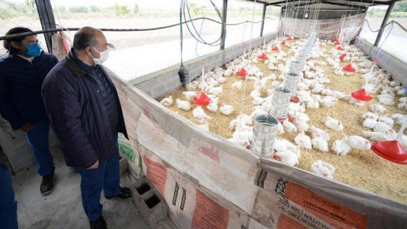 Con un subsidio de más de cinco millones de pesos fortalecieron a una cooperativa