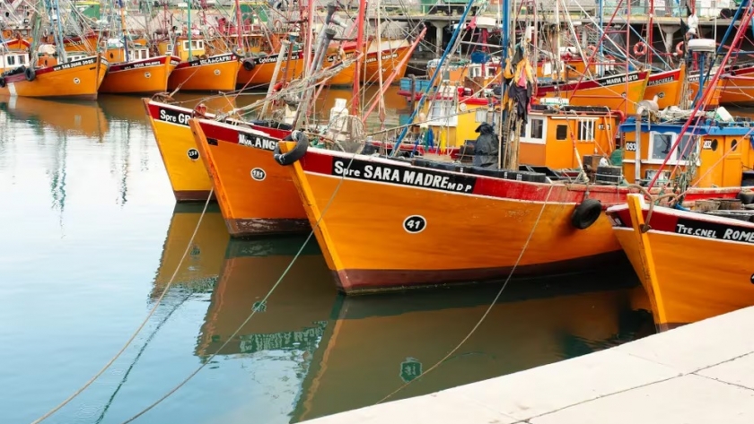 Mar del Plata: licitación internacional para el dragado de mantenimiento del puerto