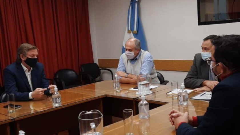 Plan de lucha contral el HLB en establecimientos citrícolas y proyectos de inversión para las economías regionales