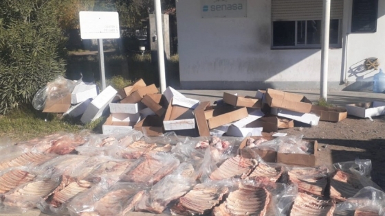 Río Negro: Detección de un transporte con 321 kg de carne bovina en mal estado