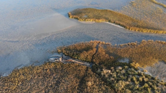 Escapada ideal: playa con reserva natural y paisajes únicos para disfrutar este invierno