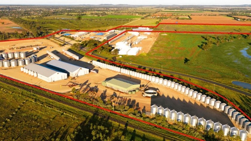 El principal negocio de granos de NSW está en el mercado