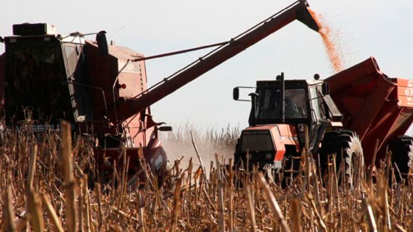 Viento de cola: la soja y el maíz podrían generar U$S 7.000 millones más en 2021
