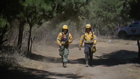 Tras arduo operativo, el incendio en El Pedregoso fue controlado