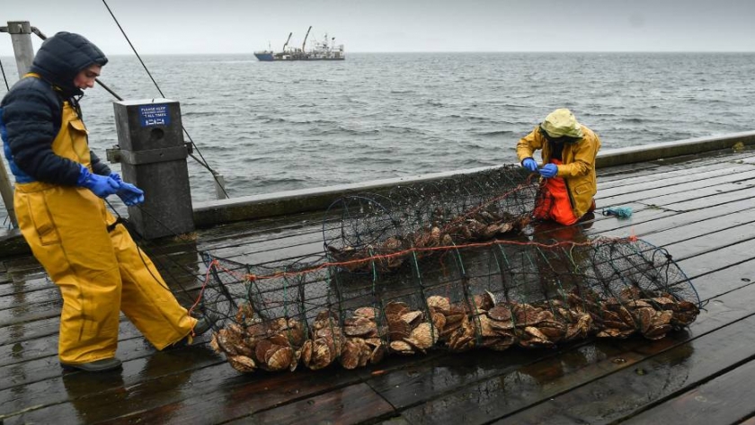 Las autoridades escocesas plantean que el Brexit perjudica la exportación pesquera