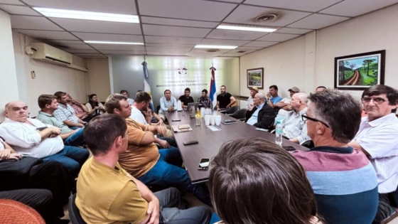 Misiones impulsa mesa para ordenar precios de yerba