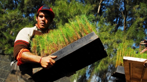 El Gobierno de Santa Fe fomenta el uso sostenible de la biomasa en el norte santafesino