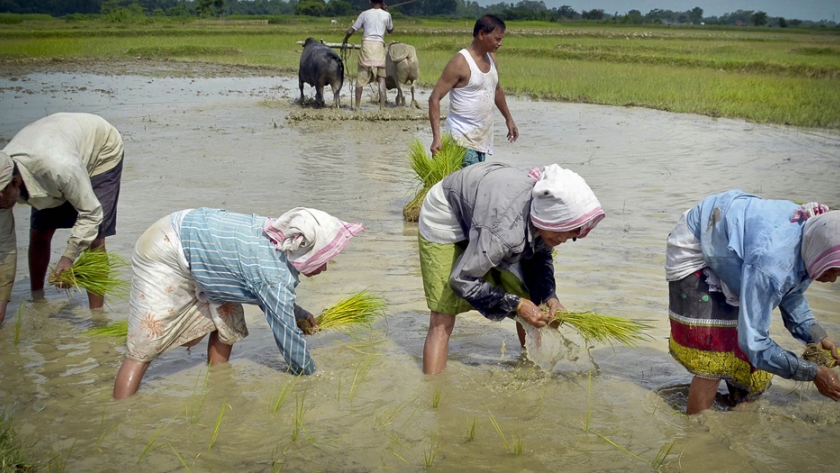 El equipo universitario del Reino Unido anuncia una nueva tecnología para purificar el agua subterránea para los agricultores de la India