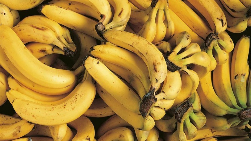 Los beneficios del banano en la alimentación animal: una oportunidad para los productores