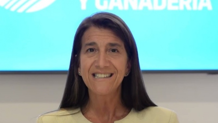 Retenciones en la mira: avanza en Diputados el reclamo histórico del campo