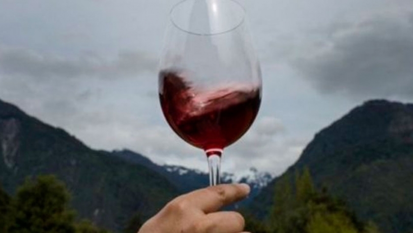 El consumo de vinos comenzó el año en positivo