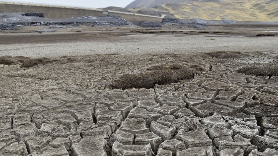 El 62% del departamento de Santa Cruz sufre las consecuencias de la sequía