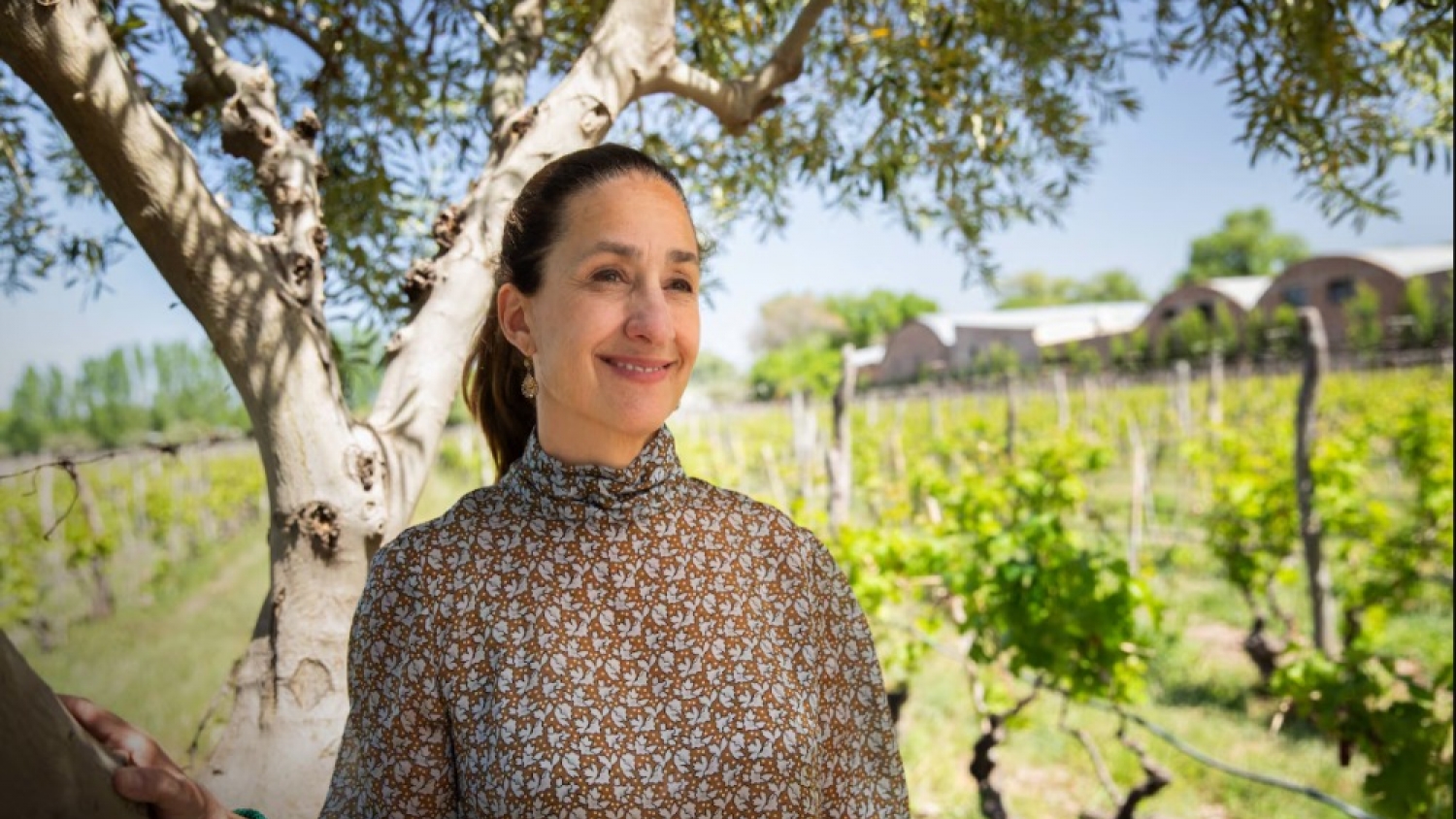 Bodega Lagarde: una centenaria viña en el corazón de Mendoza combina historia, vinos y gastronomía premiada