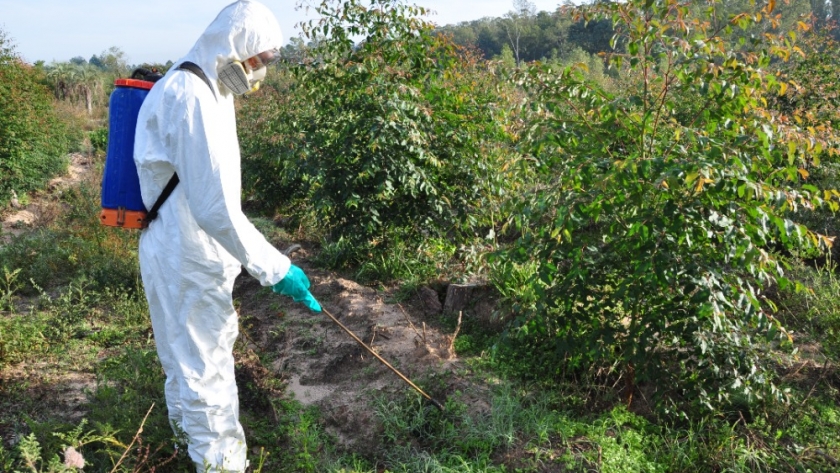 Buenas Prácticas Agrícolas: normas, principios y recomendaciones para asegurar la inocuidad de los alimentos