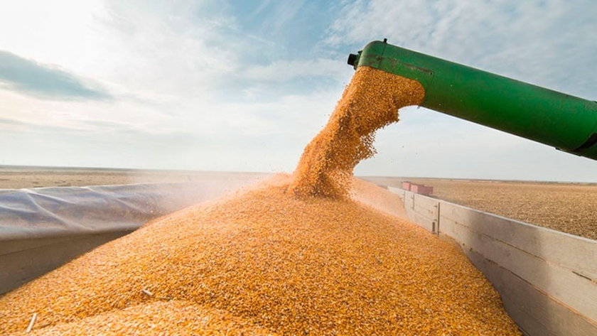 Cayó casi 9% el ingreso de dólares por las liquidaciones del agro en enero