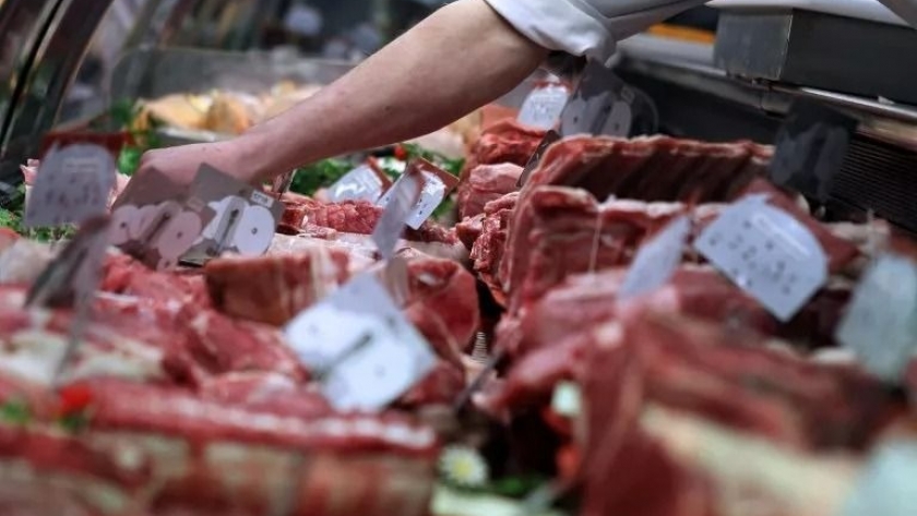 Japón levanta restricciones y reanuda importaciones de aves de corral de Brasil