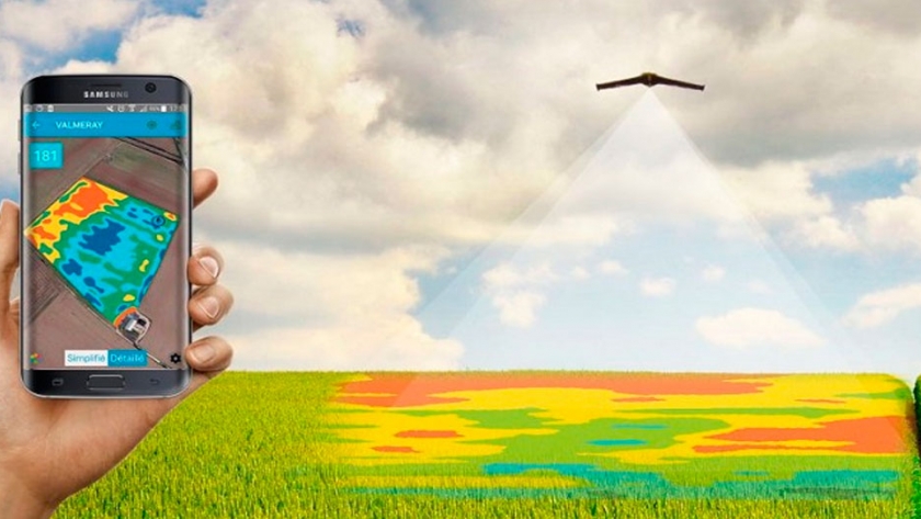 El desafío de los futuros ingenieros agrónomos