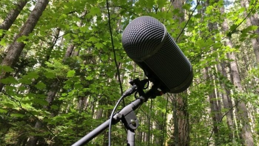 Capacitación ambiental para periodistas