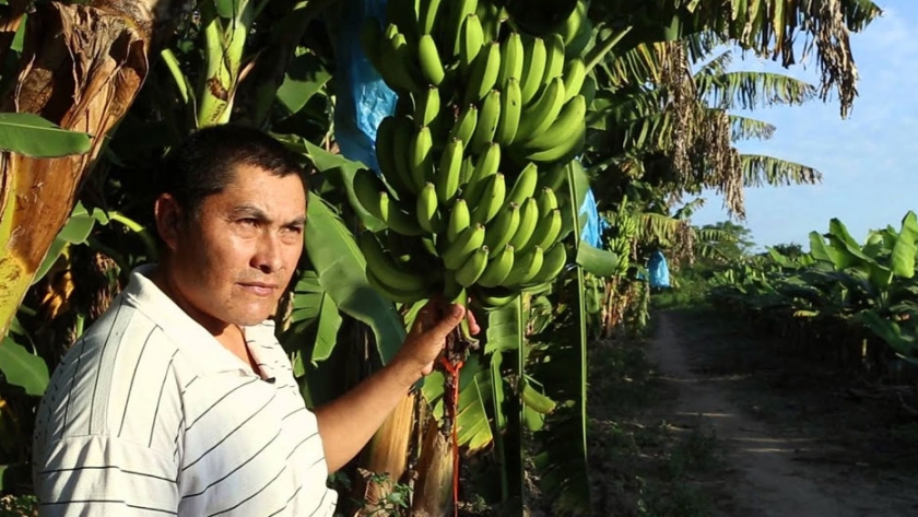 El PAIPPA, un programa que brindó una mirada integral hacia el pequeño productor