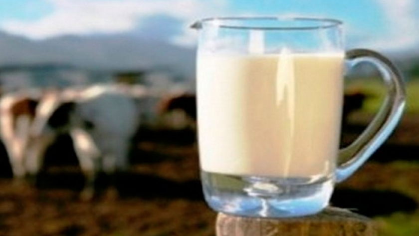 Del pasto a la taza: como la producción láctea puede ser sustentable