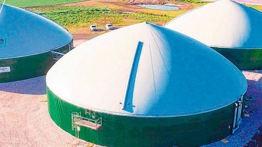El negocio de la biomasa, sustentable y rendidor
