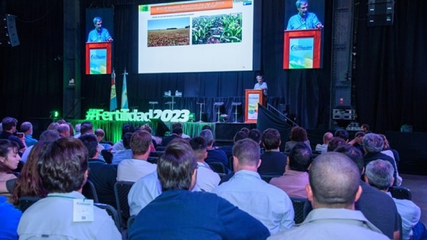 Potasio, un nutriente clave que ya limita los cultivos del litoral argentino y Uruguay