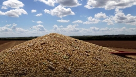 La soja subió $10.000 en Rosario y cerró en $330.000 impulsada por el alza del dólar oficial